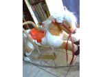 Cavallo a dondolo