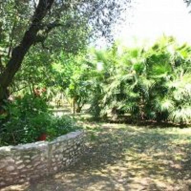 B&B Il Boschetto - Foto 4