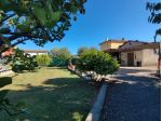 Agricolo in vendita a Arcola