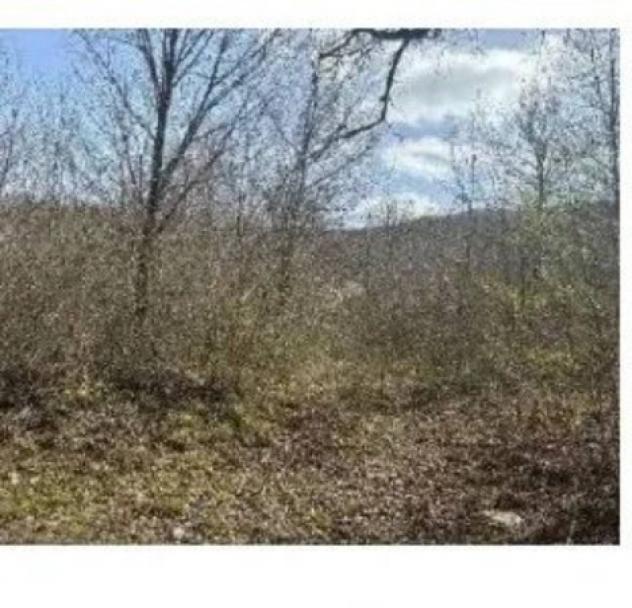 Immobile in asta di 52058 m² in vendita a Bagnoli del Trigno - Foto 3