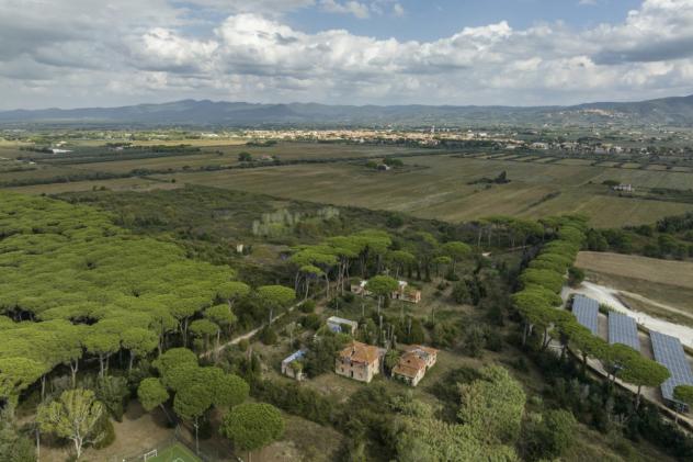 Casale in vendita a Castagneto Carducci - Foto 3