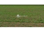 AREA EDIFICABILE di 915 mq (CONEGLIANO) rif. MDP119_8