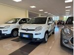 FIAT Panda 3ª serie Panda 1.0 FireFly S&S Hybrid