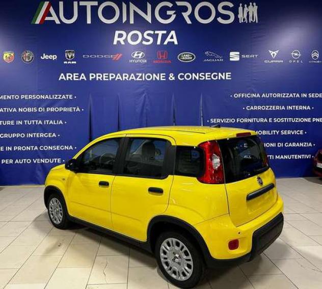 FIAT Panda 1.0 firefly hybrid 70CV s&s NUOVA DA IMMATRICOLARE - Foto 4