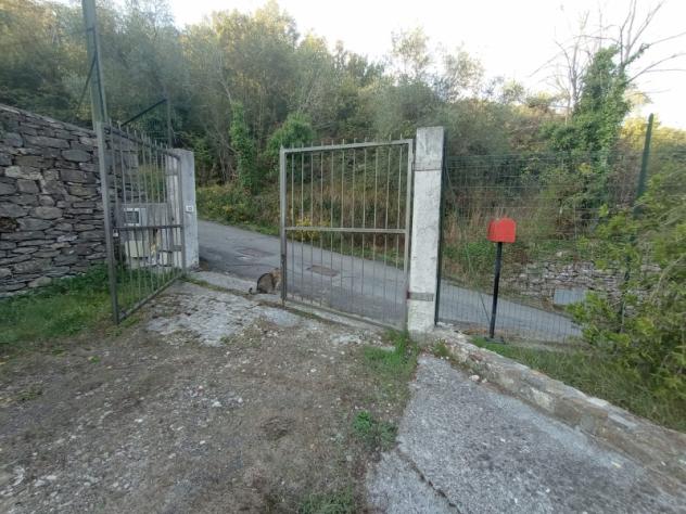 VENDESI A CHIUSAVECCHIA CASA INDIPENDENTE IN OTTIMO STATO CON GARAGE E GRANDE TERRENO DI OLTRE 4000 MQ - Foto 4