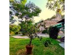 Casale in vendita a Vicopisano 500 mq  Rif: 1432647