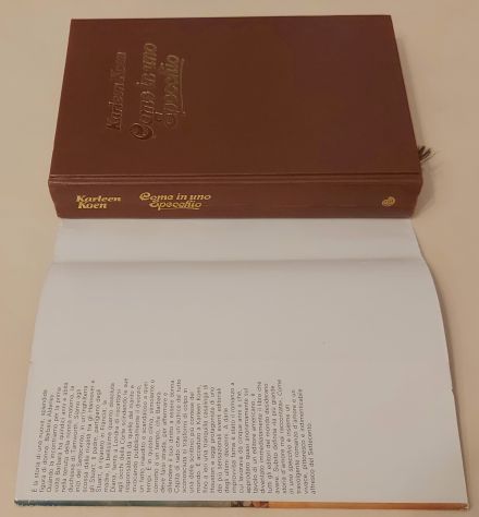 Come in uno specchio di Karleen Koen 1°Ed.Euroclub su licenza Rizzoli libri,1987 - Foto 5