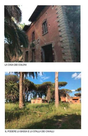 Agriturismo in Vendita in zona DONORATICO con giardino - Foto 4