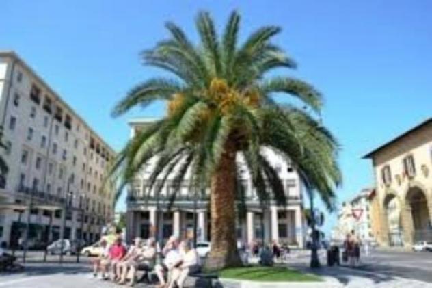 Tabaccheria in vendita a Livorno 21 mq Rif: 1444954 - Foto 7