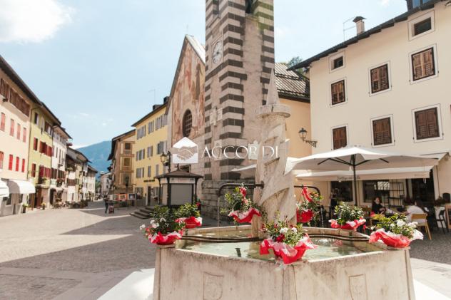 NEGOZIO di 3 vani e di 205 mq (PRIMIERO SAN MARTINO DI CASTROZZA) rif. DN364 - Foto 10