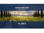 Immobile in asta di 8934 m² in vendita a Agugliano