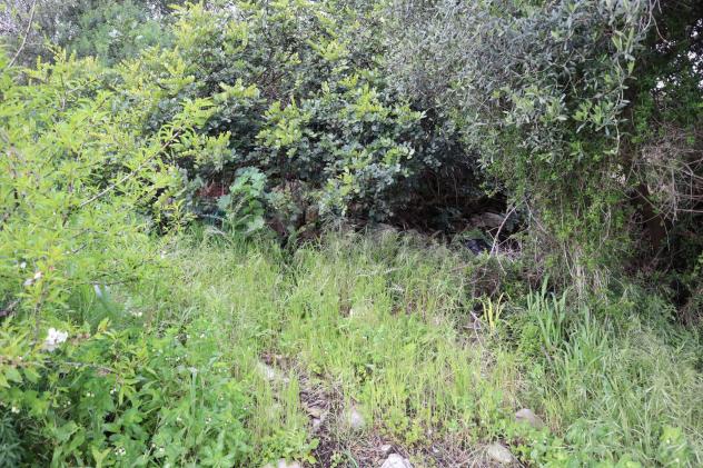 Cascina/Casale in vendita a Ragusa, Bruscé - Foto 14