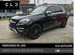 Mercedes-Benz Classe M ML 250 bt Premium 4matic auto