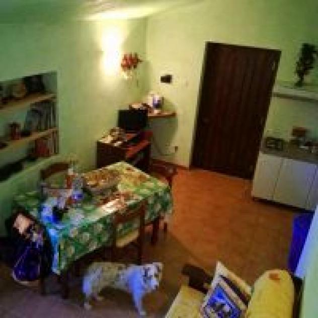 Agriturismo Equiturismo La Fattoria - Foto 4