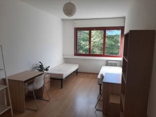 singola per studentessa