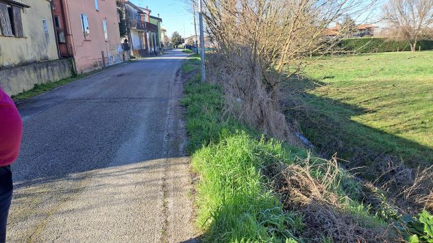 Terreno Agricolo Anguillara Veneta (PD) - Foto 4