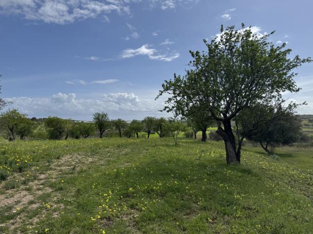 Terreno Agricolo - Noto . Rif.: Cod. rif 3321426VRG - Foto 5