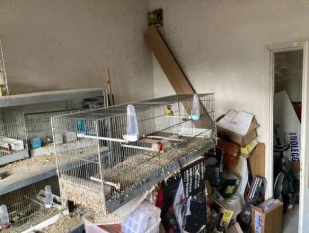 Immobile in asta di 111 m² in vendita a Scandicci - Foto 12
