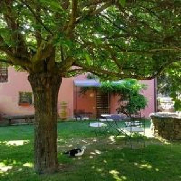 Terrarossa di Lenzi Lorenzo - Foto 3