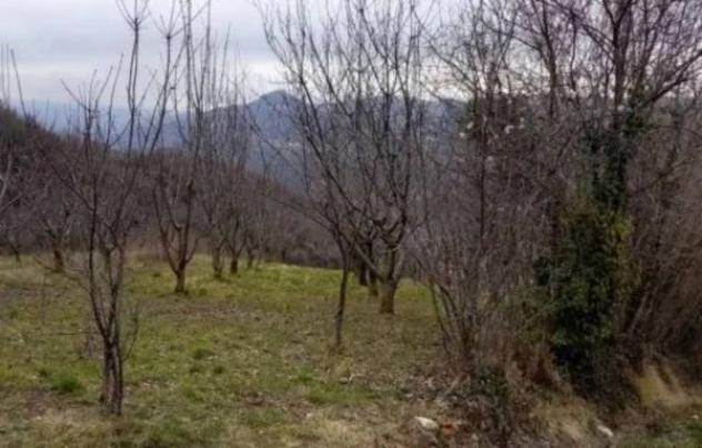 Immobile in asta di 990 m² in vendita a Chiampo - Foto 2