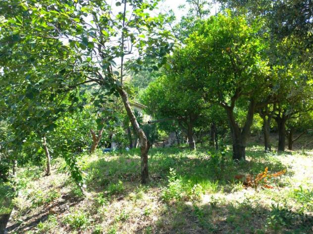 Frutteto in vendita a Nocera Inferiore - Foto 3