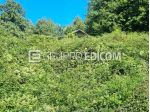 Terreno di 23760 mq in vendita a Filattiera - Rif. 4554398