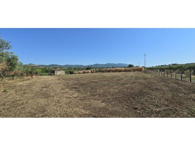 Agricolo in Via Cinelli - Foto 3