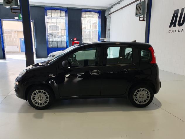 FIAT Pandina Pandina 1.0 firefly hybrid Icon s&s 65cv - Foto 7