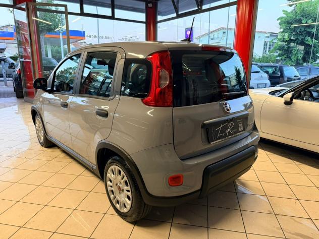 Fiat Panda 1.0 FireFly S&S Hybrid - Foto 5