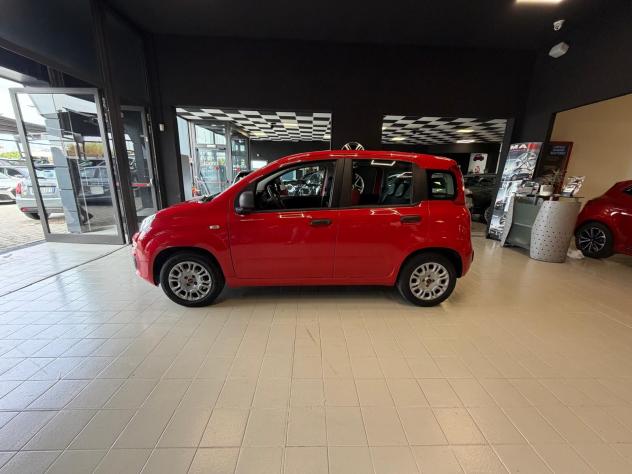 FIAT Panda 3ª serie Panda 1.2 Easy - Foto 4