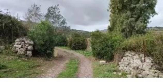 Immobile in asta di 145 m² in vendita a Pozzomaggiore - Foto 2