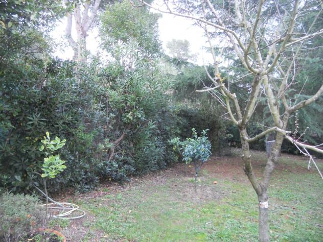 Terreno agricolo in vendita a Livorno 2000 mq Rif: 1023871 - Foto 5
