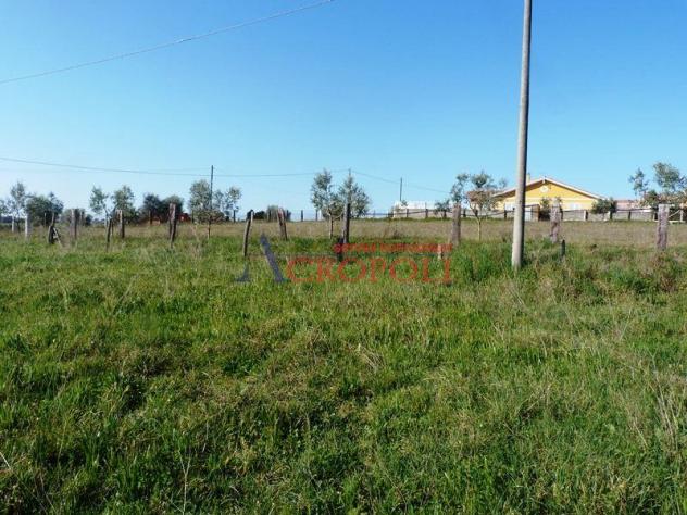 Terreno Edificabile - Rif. 2489 - Foto 14