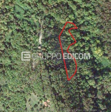 Terreno di 4314 mq in vendita a Segusino - Rif. 4556210