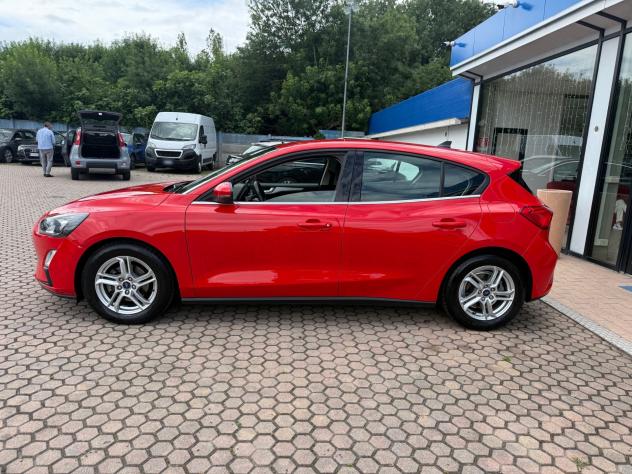 Ford Focus 1.5 EcoBlue 95 CV 5p. Business - Foto 4