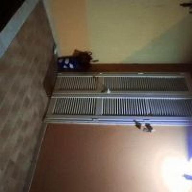 B&B Il Viaggiatore - Foto 2