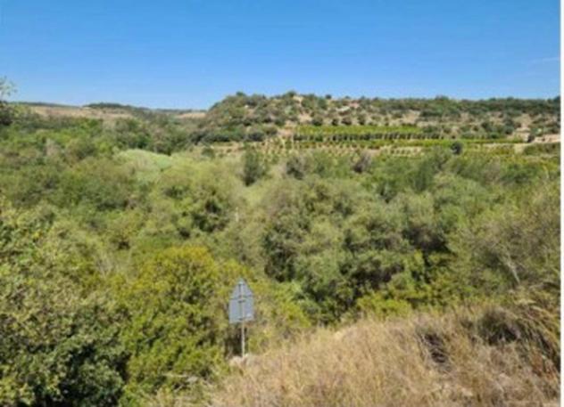 Immobile in asta di 75757 m² in vendita a Melilli - Foto 5