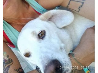 Casper