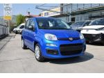 FIAT Panda 1.0 Firefly Hybrid Icon S&S 65cv 5p rif. 23519796