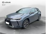 Lexus UX UX 250h 2.0 Luxury 4wd cvt
