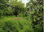 Terreno in vendita a Mascali, Nunziata