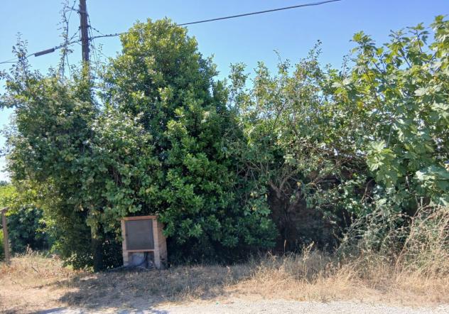 Rustico in vendita a Montecastrilli - Foto 18