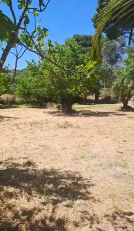 Terreno in vendita a Rosolini - Foto 6