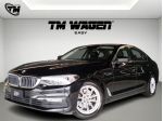 Bmw 520d Business - TAGLIANDI BMW