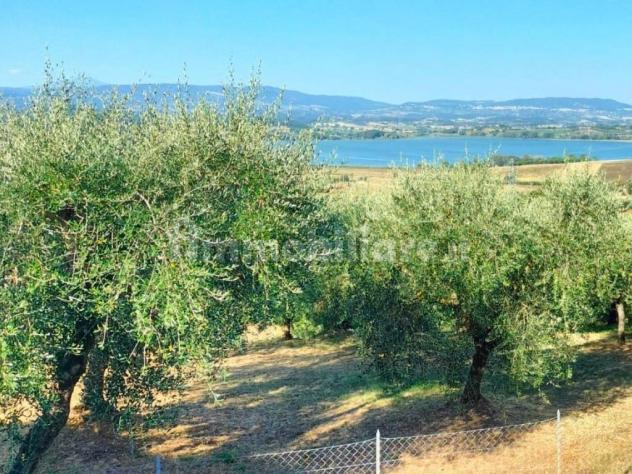 Castiglione del Lago vendesi casa indipendente 3 vani 98 Mq - Foto 2