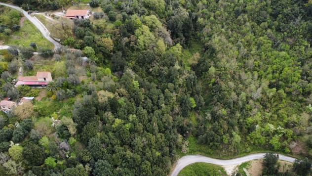 Villa in Contrada Selvatine Villaggio Santoro - Foto 16