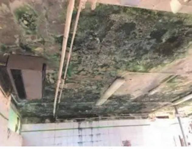 Immobile in asta di 179 m² in vendita a Ambivere - Foto 4