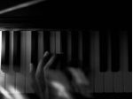 Organista x funerali e matrimoni a Bovisio Masciago