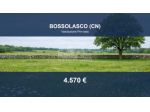 Immobile in asta di 300 m² in vendita a Bossolasco