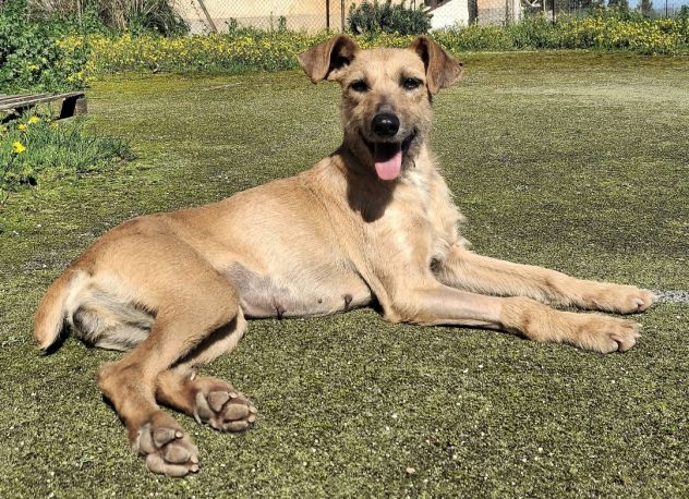 Eloise 2 anni taglia piccola - Foto 3